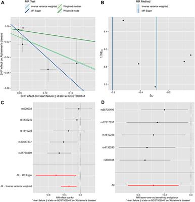 Heart failure and late-onset Alzheimer’s disease: A Mendelian randomization study